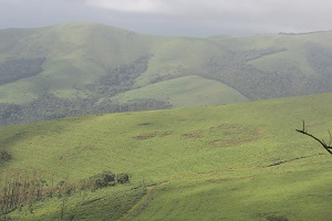 Chikmagalur